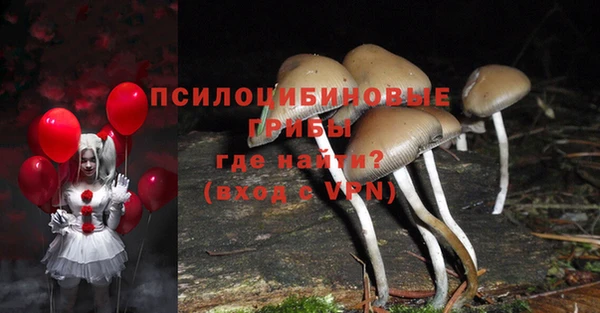 винт Верхний Тагил