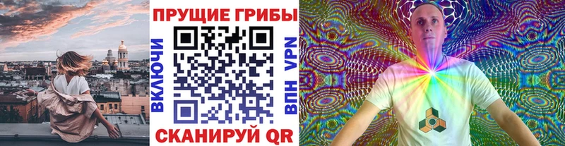 Купить где  Пучеж  Галлюциногенные грибы ЛСД 