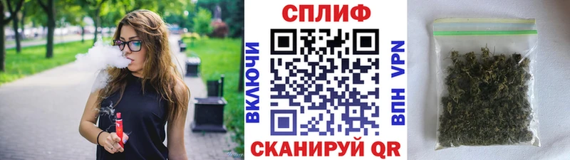 Купить закладки  Пучеж  Бошки марихуана THC 21% 